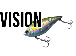 VISION